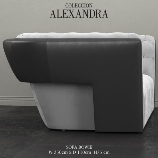 Alexandra Collection Bowie Sofa 3D Model 3