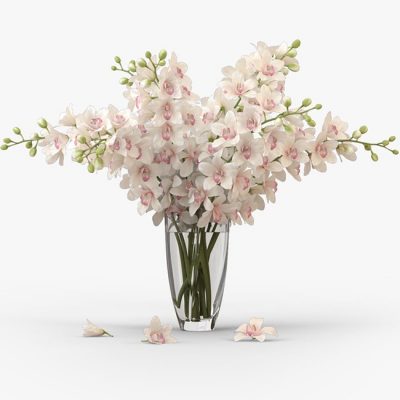 Bouquet of Orchids Flower 3D model