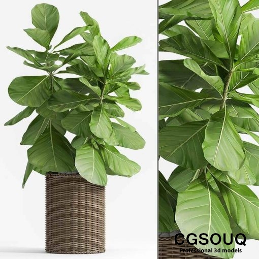 Decorative plant set-49 3D model 1-CGSouq.com