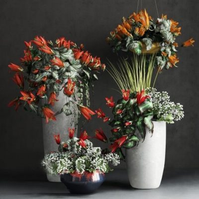 Flower Vase Decor 3d Model