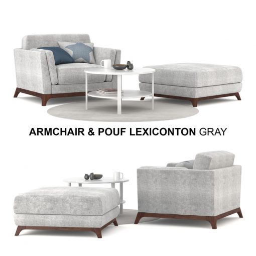 Lexiconton Grey Armchair & Pouf 3D Model