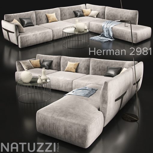 Natuzzi Herman 2981 Sofa 3D Model