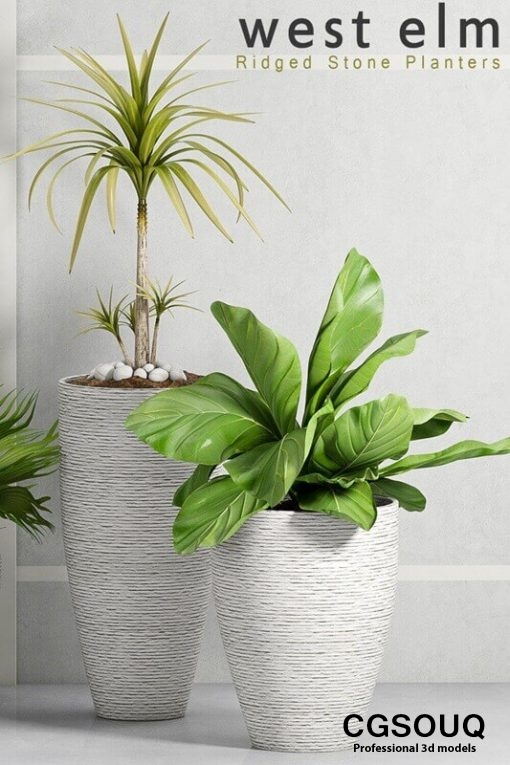 West elm ridged stone decorative plant 3D model 2