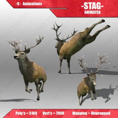 Stag Animal Animated 3D model
